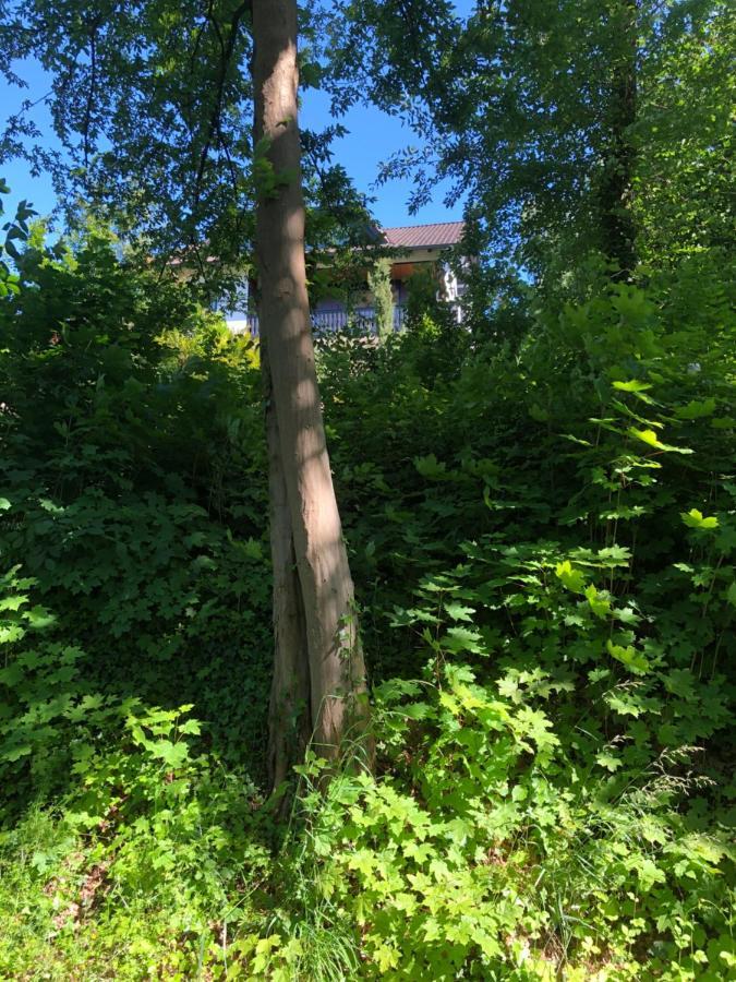 Apartment-47 Fulda 彼得堡 外观 照片